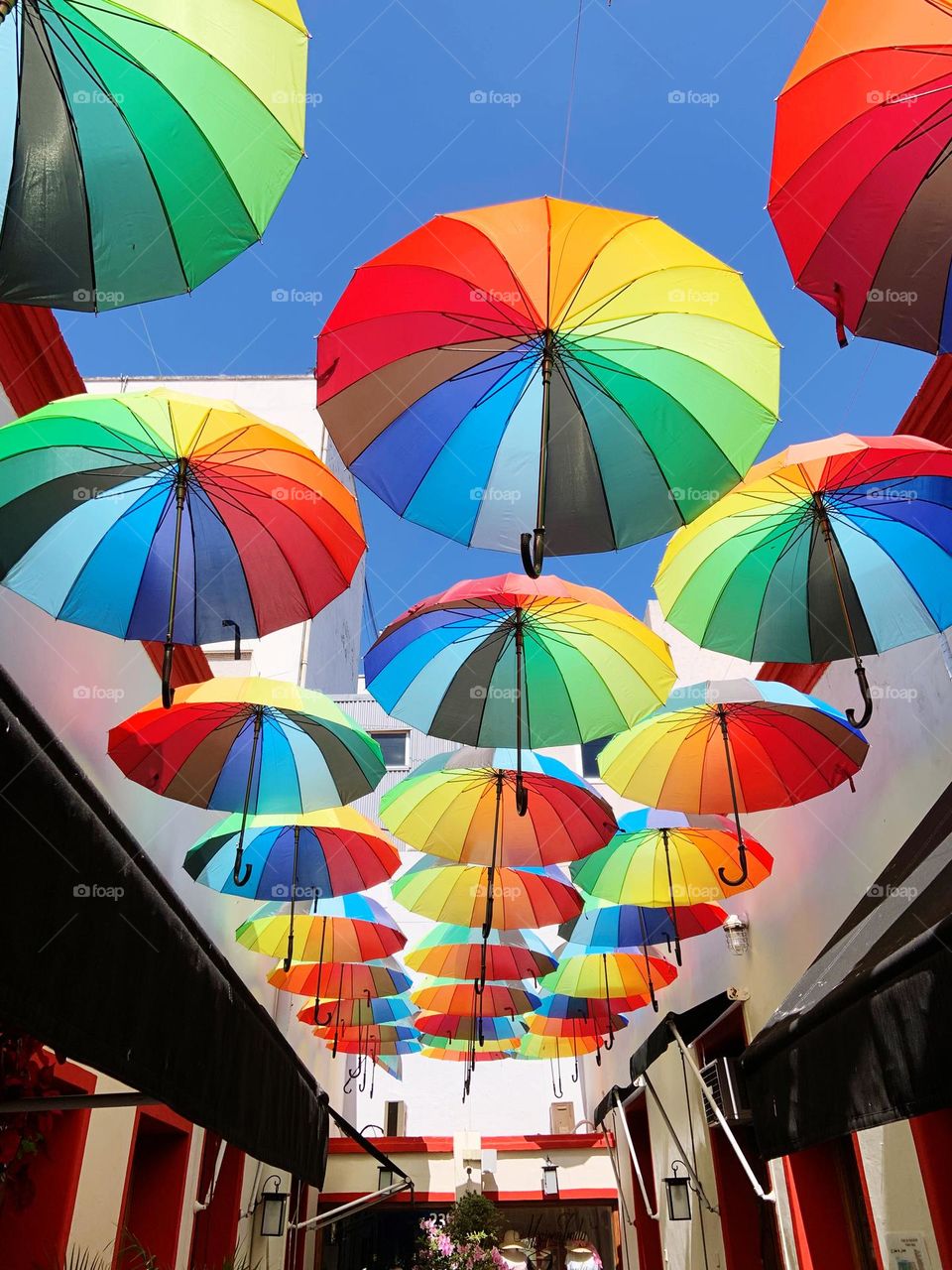 Umbrella pride color 