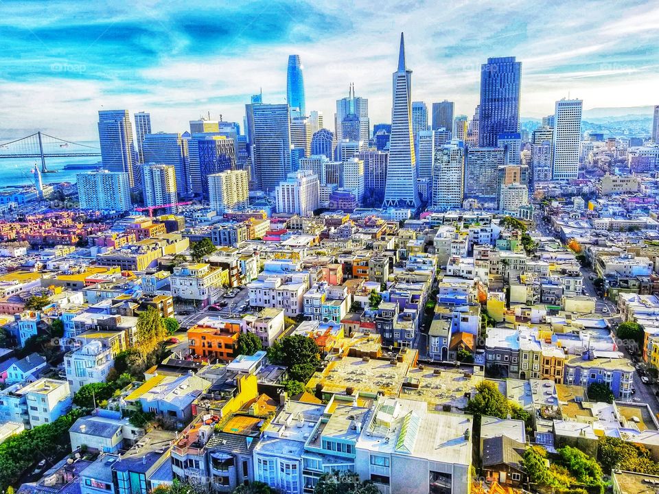 SAN FRANCESCO|california