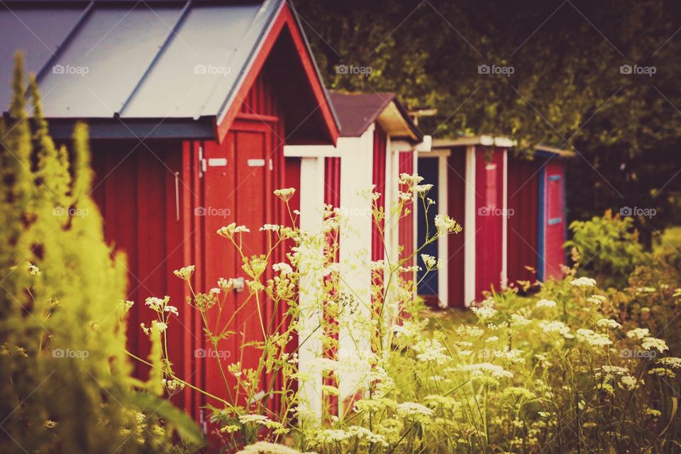 Boat houses