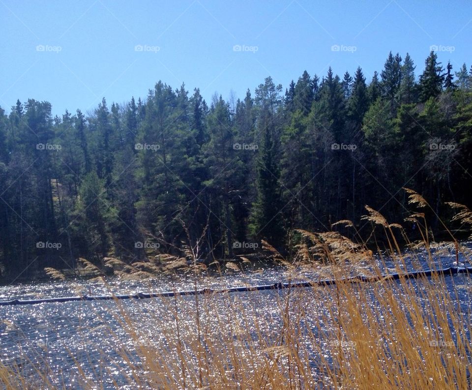 sweden city nature summer by The_Picture_man