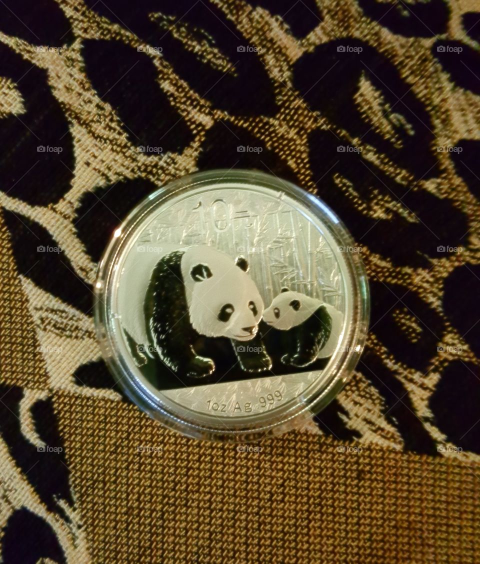 Panda Silver Yuan