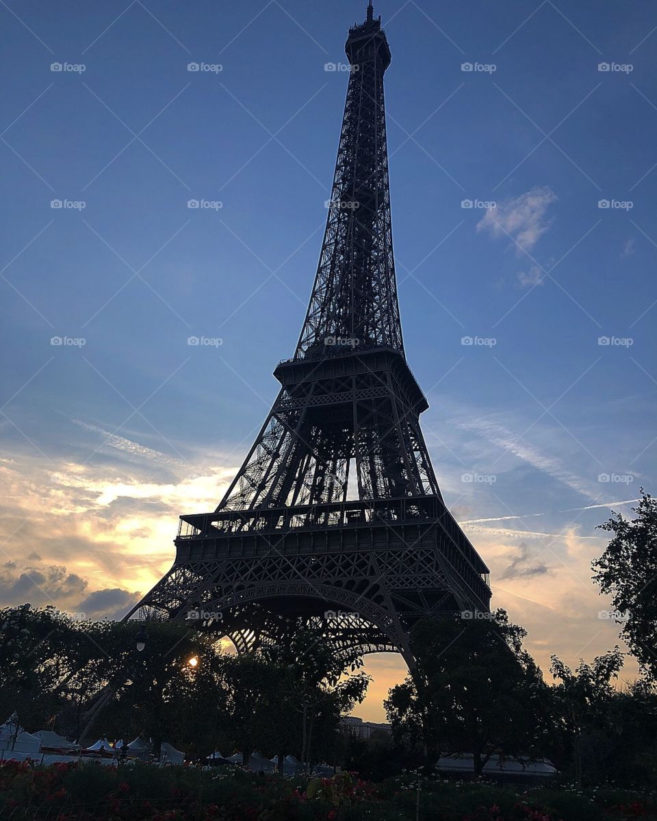 Eiffel Tower 🌗