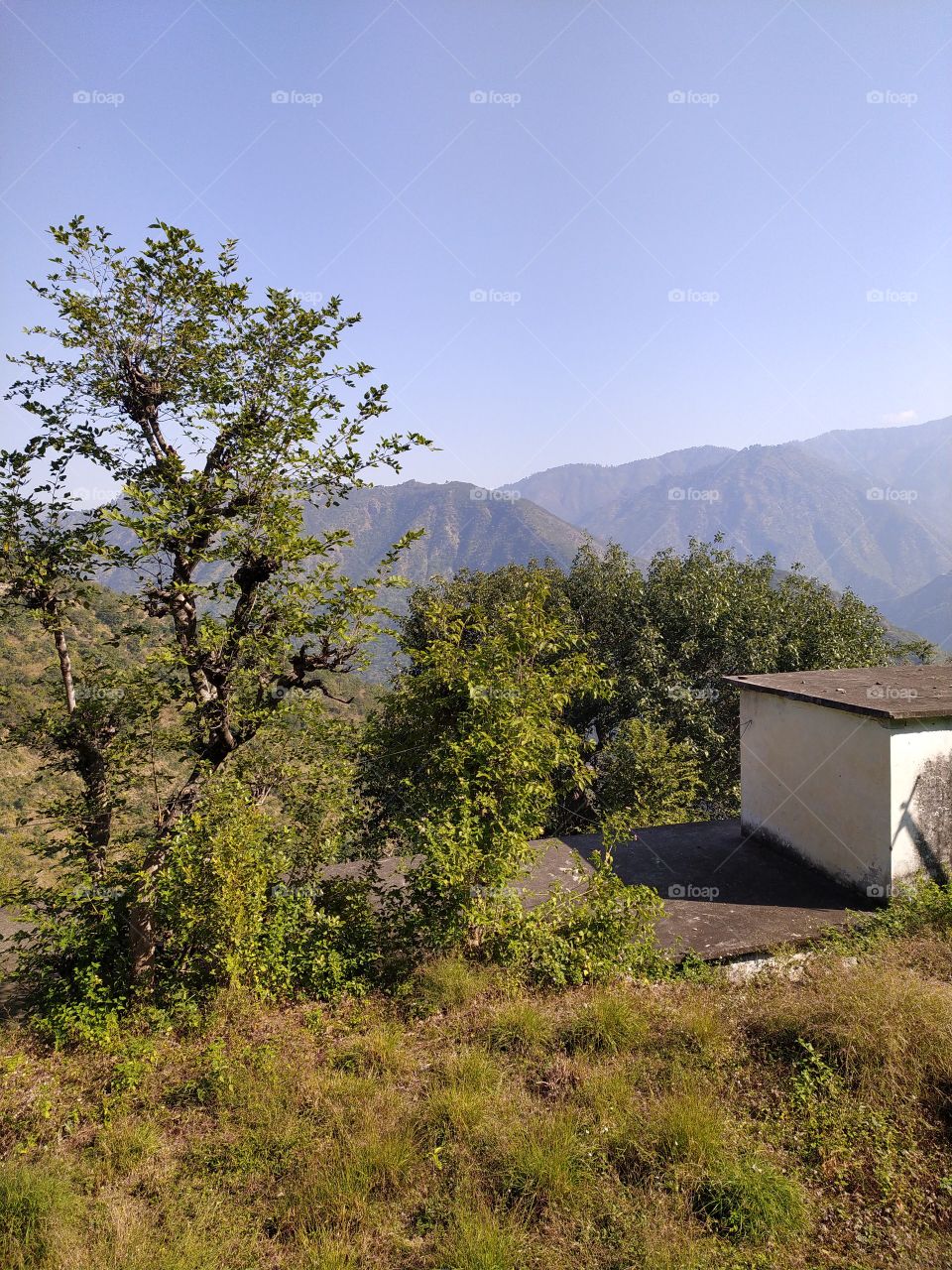 Amazing beauty of my village drenched in mellow Winter sunshine.