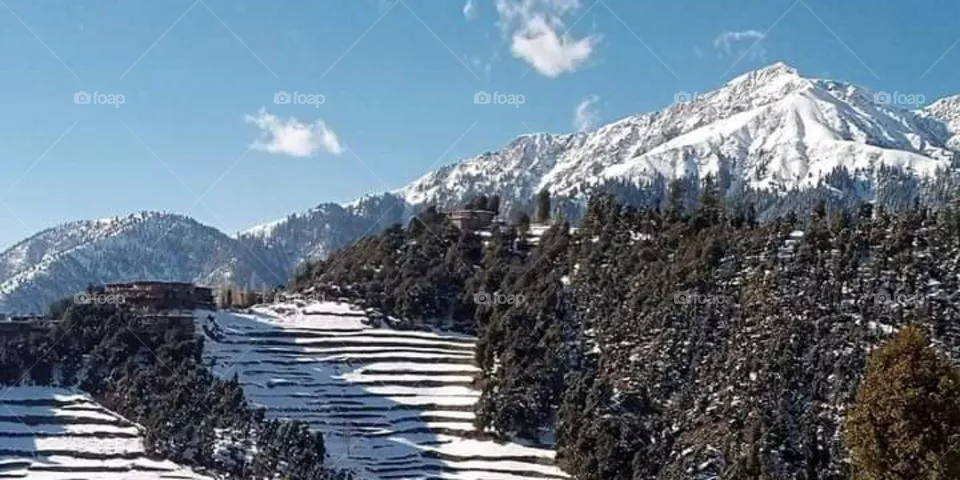 snow falls