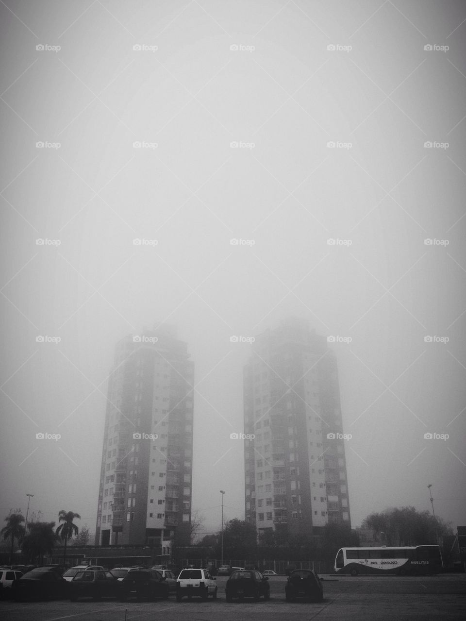 Foggy afternoon