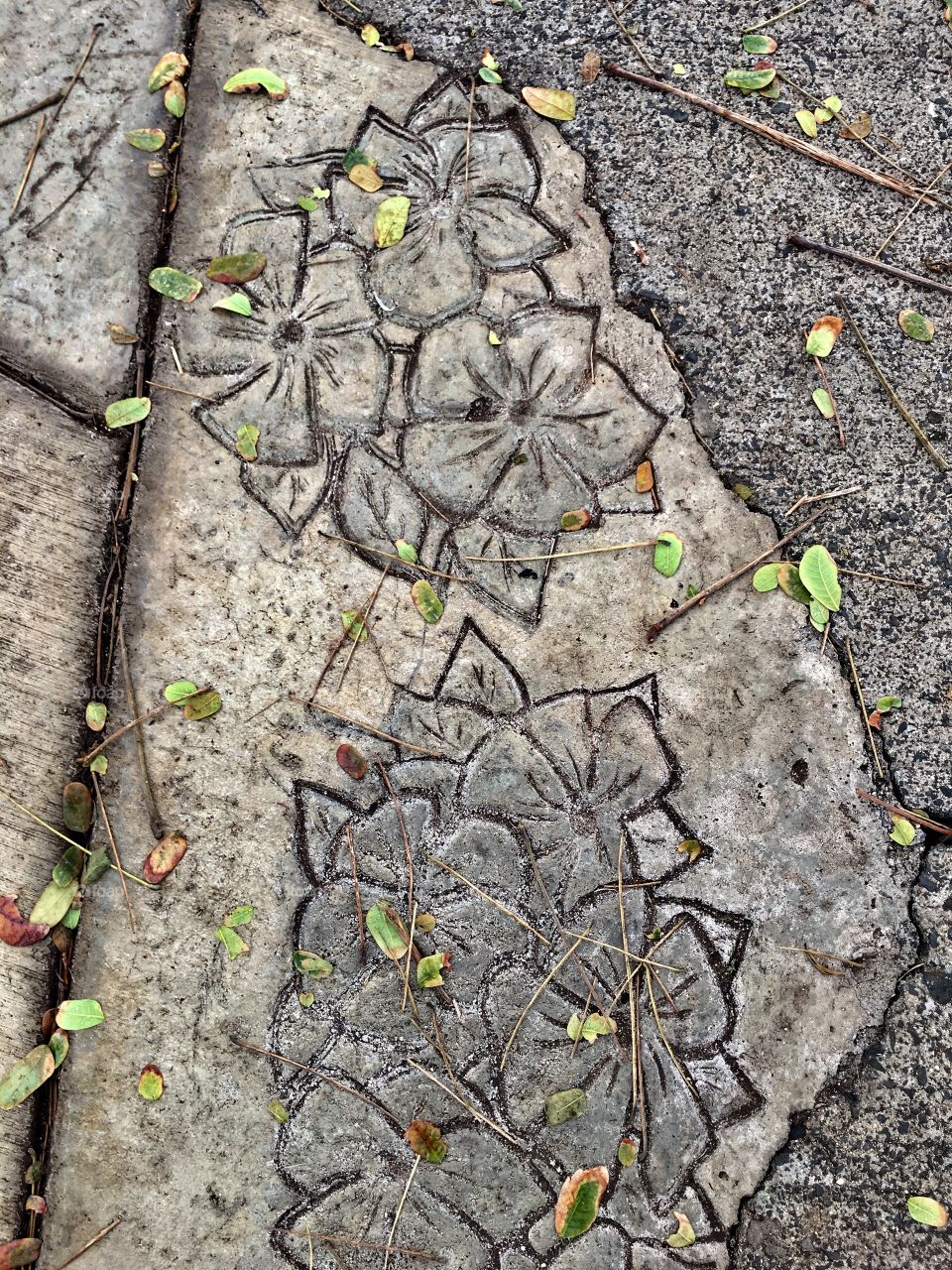 Hawaiian flowers🌺