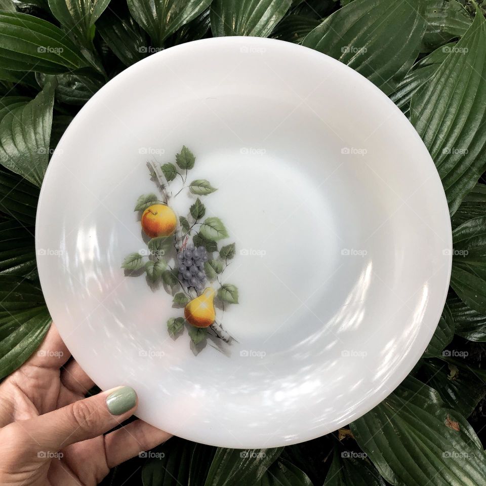 French vintage plate with botanical pattern