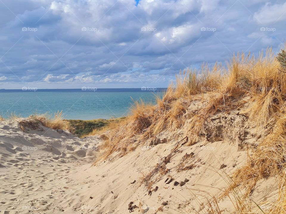 Dunes in Zeeland