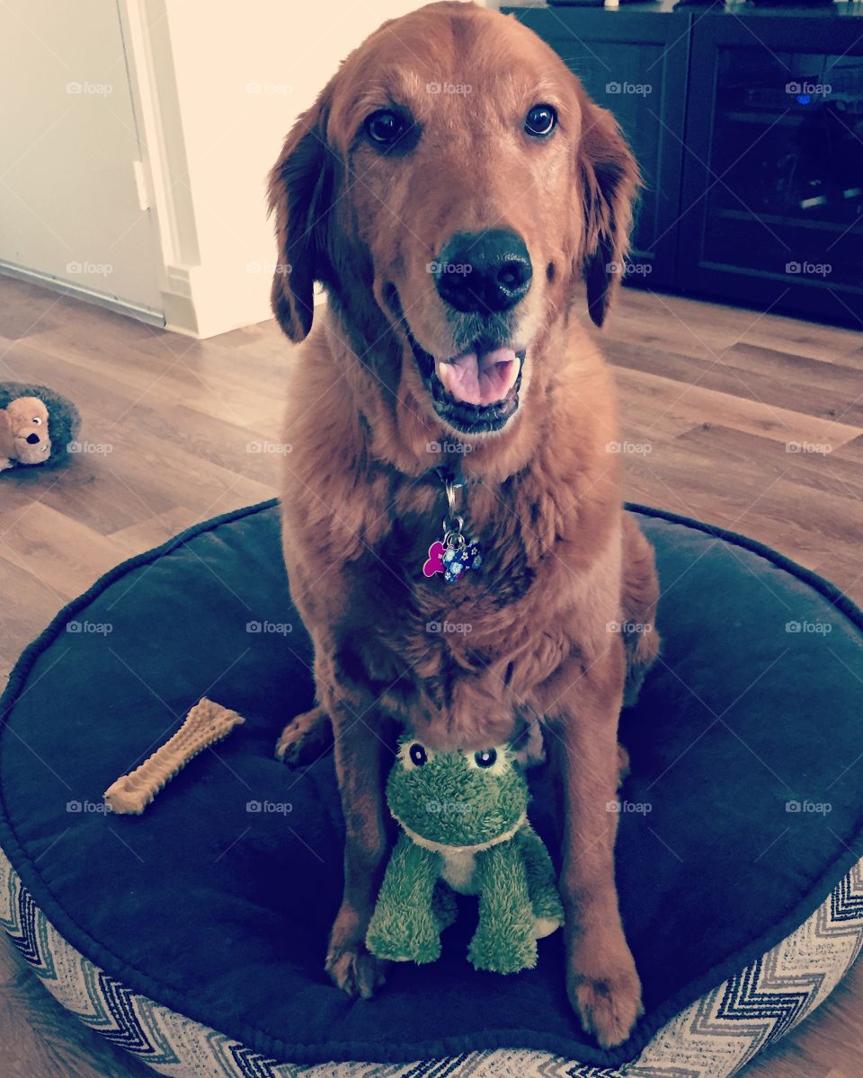 Happy St. Patrick’s Day! 