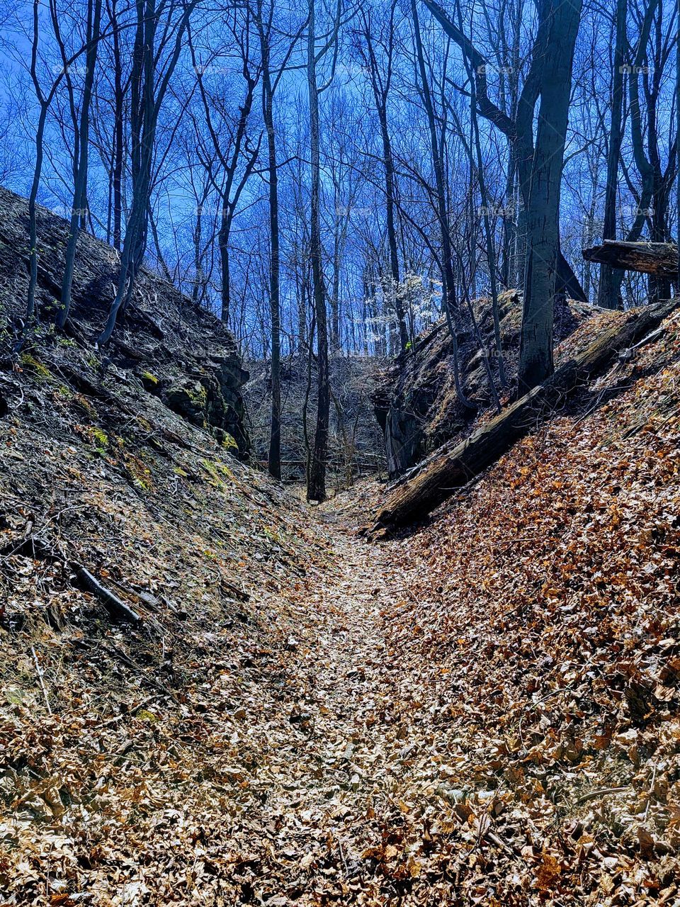 Hiking thru valley in abandoned quarry in PA