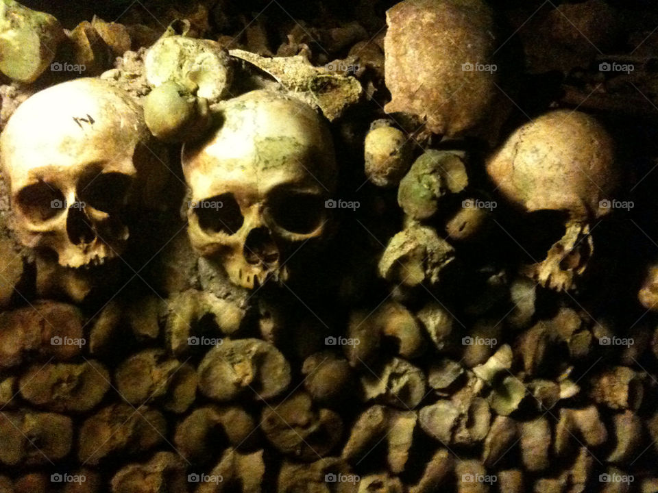 paris skull scary bones by btumpak