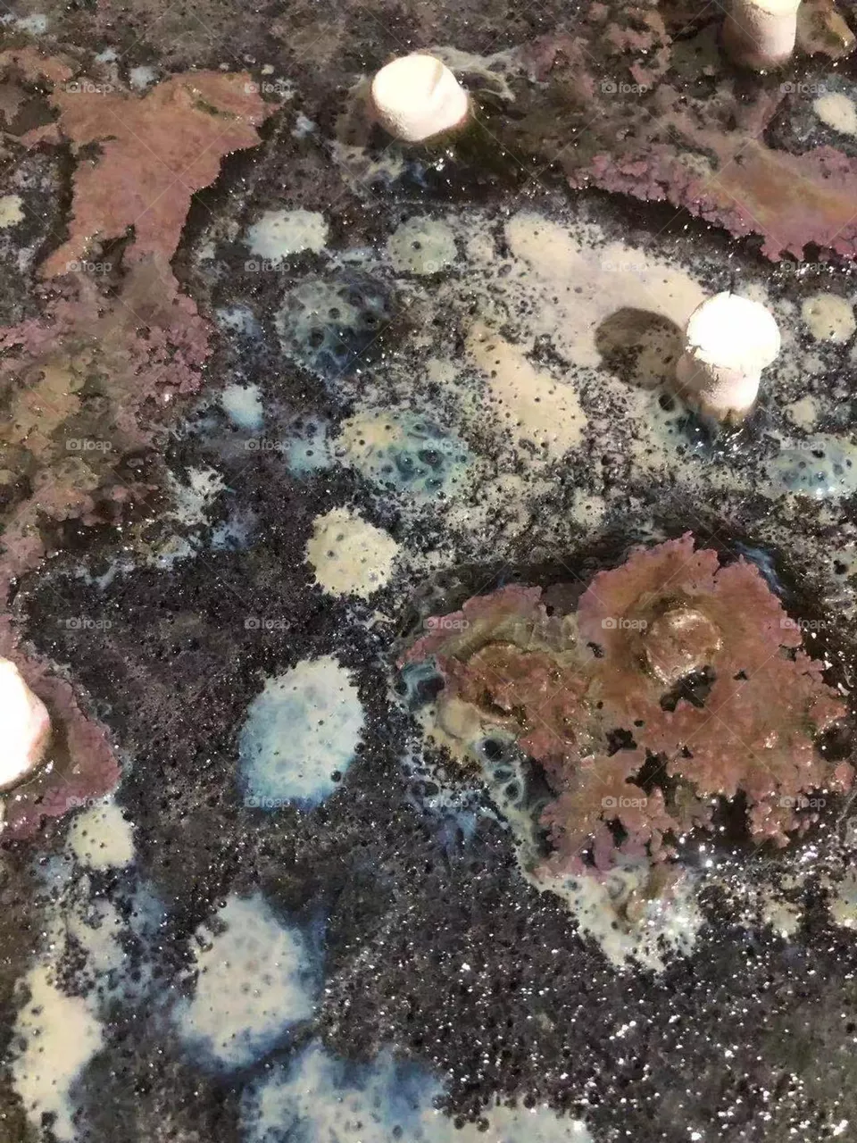 Natural Color