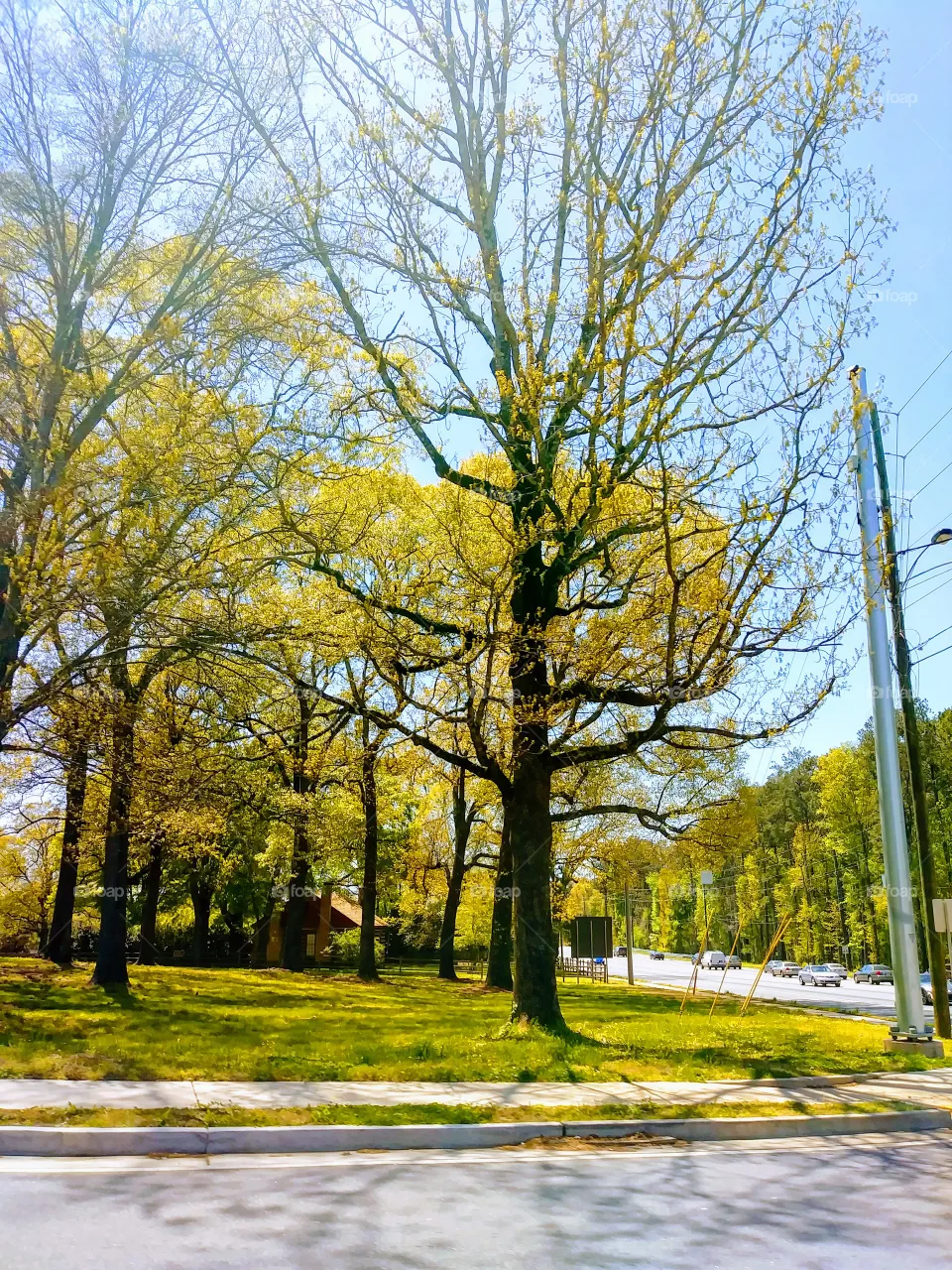 park