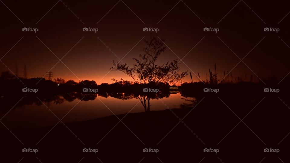 The Lonely North Position if this majestic Crepe Myrtle has given true Life in the eye of a photographer. 
