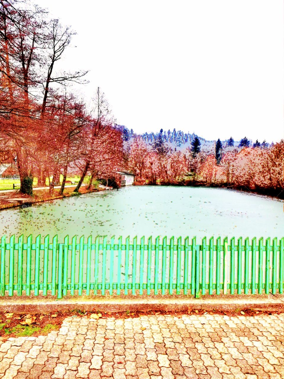 Frozen Pond in Marjan Park Ljubljana, Slovenia