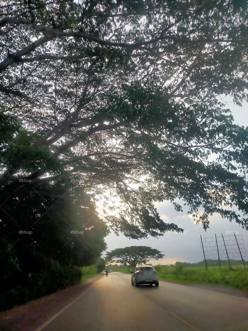 Natural scenery in different places