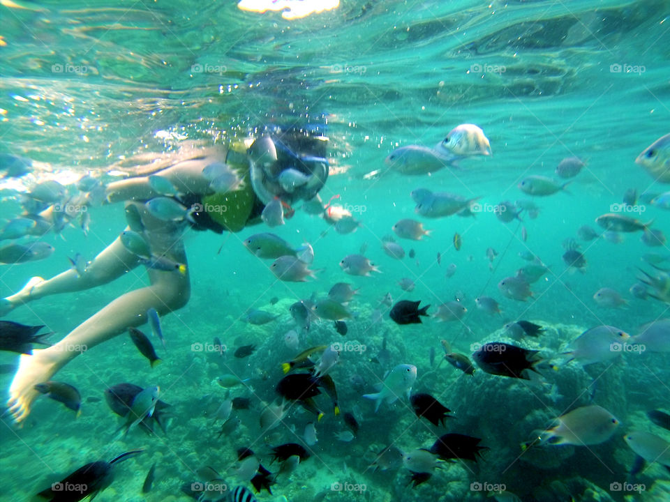 Snorkeling, swimming with the school of fish underwater