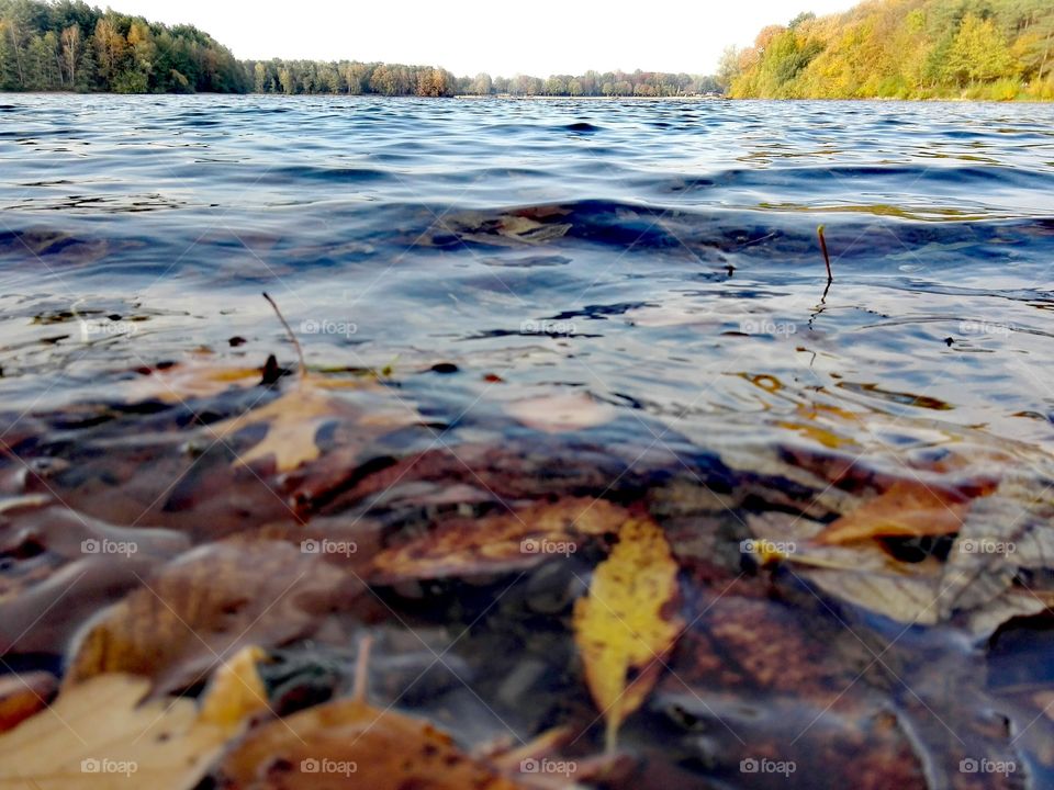 lake & Autumn