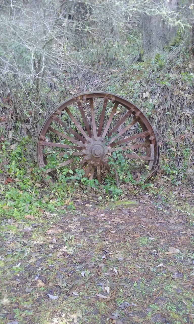 Rustic Wagon Wheel