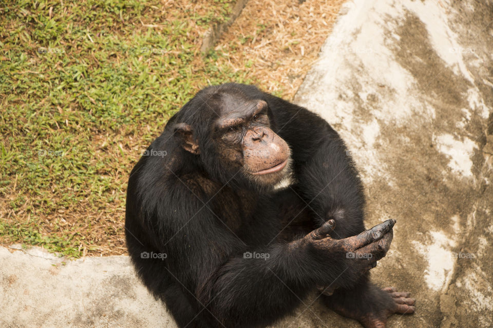 National Zoological Gardens of Sri Lanka
