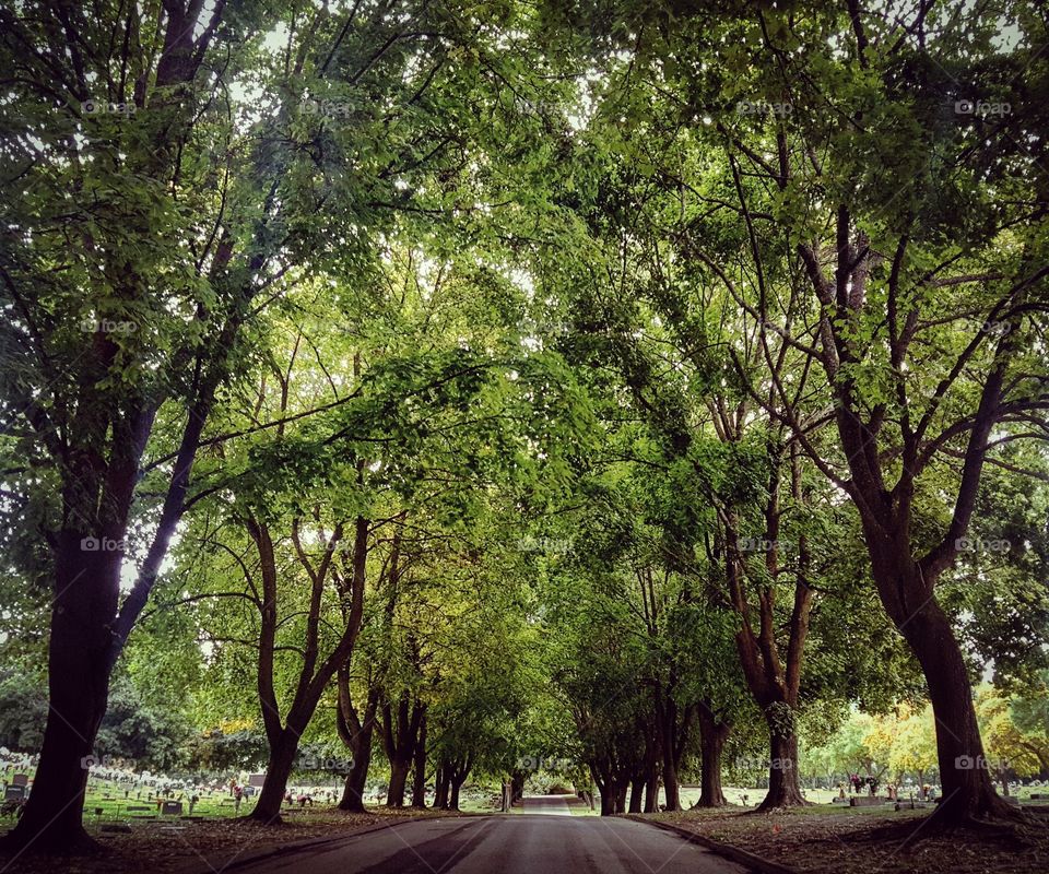 The Path To Enlightenment.