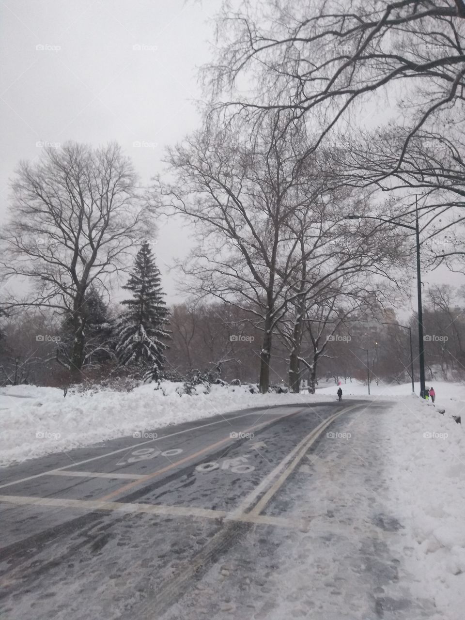 Central Park NYC Snow Covered