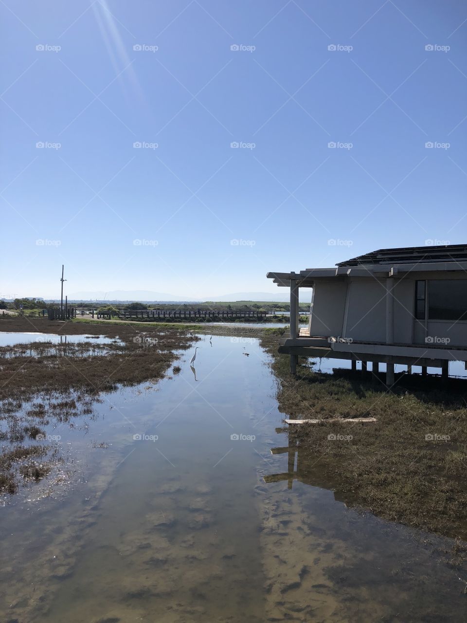 Baylands