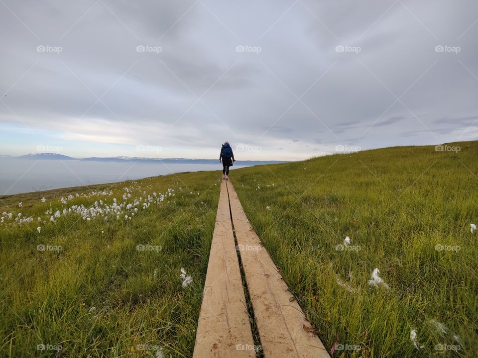 Hiking through green field with white flowers in the mountains during holiday trip in Iceland