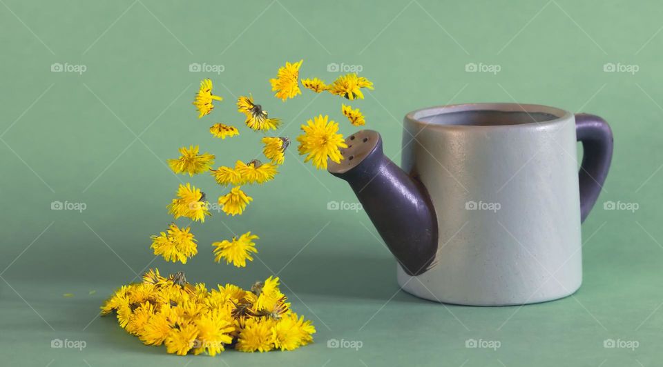 Yellow flowers magically spring from a green ceramic watering can