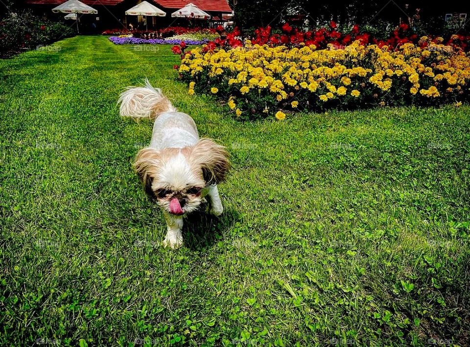 how well she runs :)