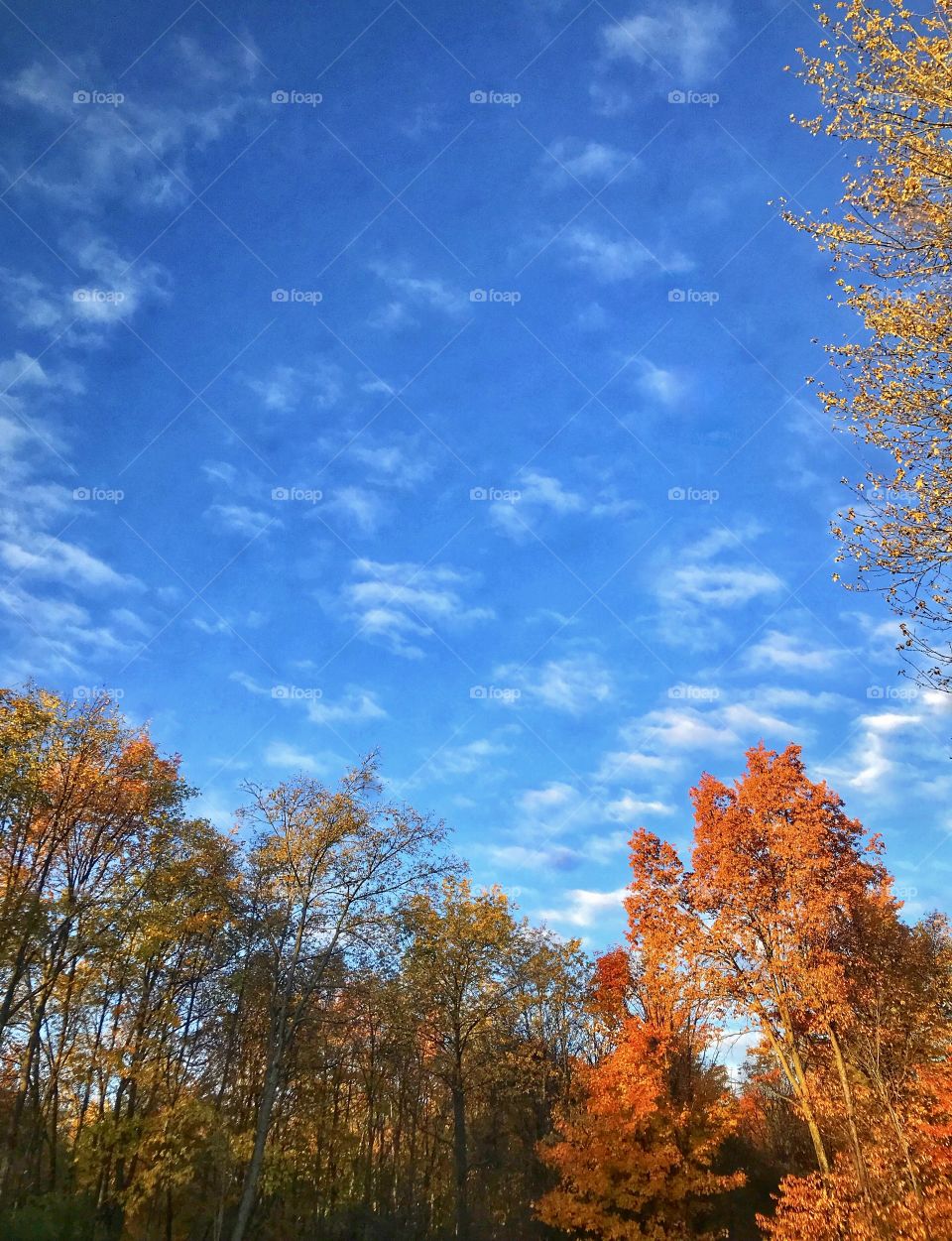 Nature is beautiful, nature is essential to our peace, for it is our home. It is our sanctuary. 