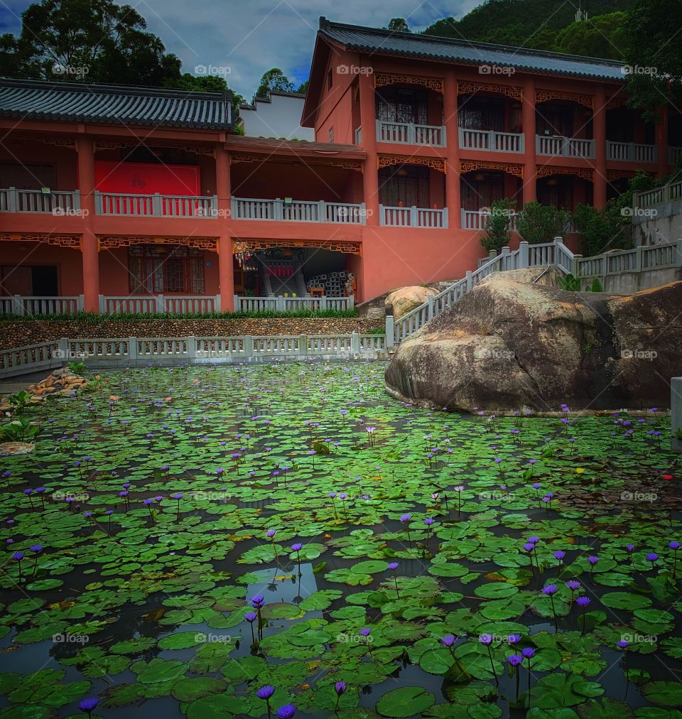 Temple pond