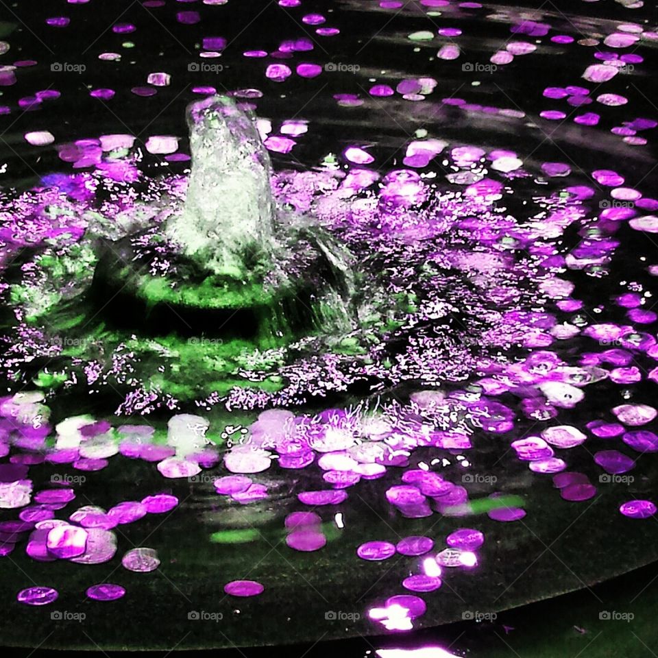 Flower, Color, Drop, Nature, Reflection