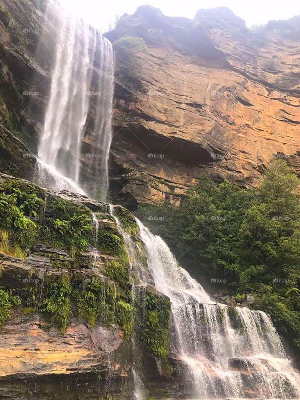 Falling in Blue Mountains national Park

📍Australia.