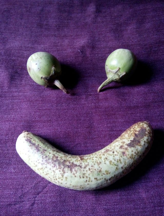 Vegetable for Health / Smile Mono Photo / Send Smile Mono / Color Photo Smile Mono / Stray Photo / Gilky Photo / Green Smile for Your Health