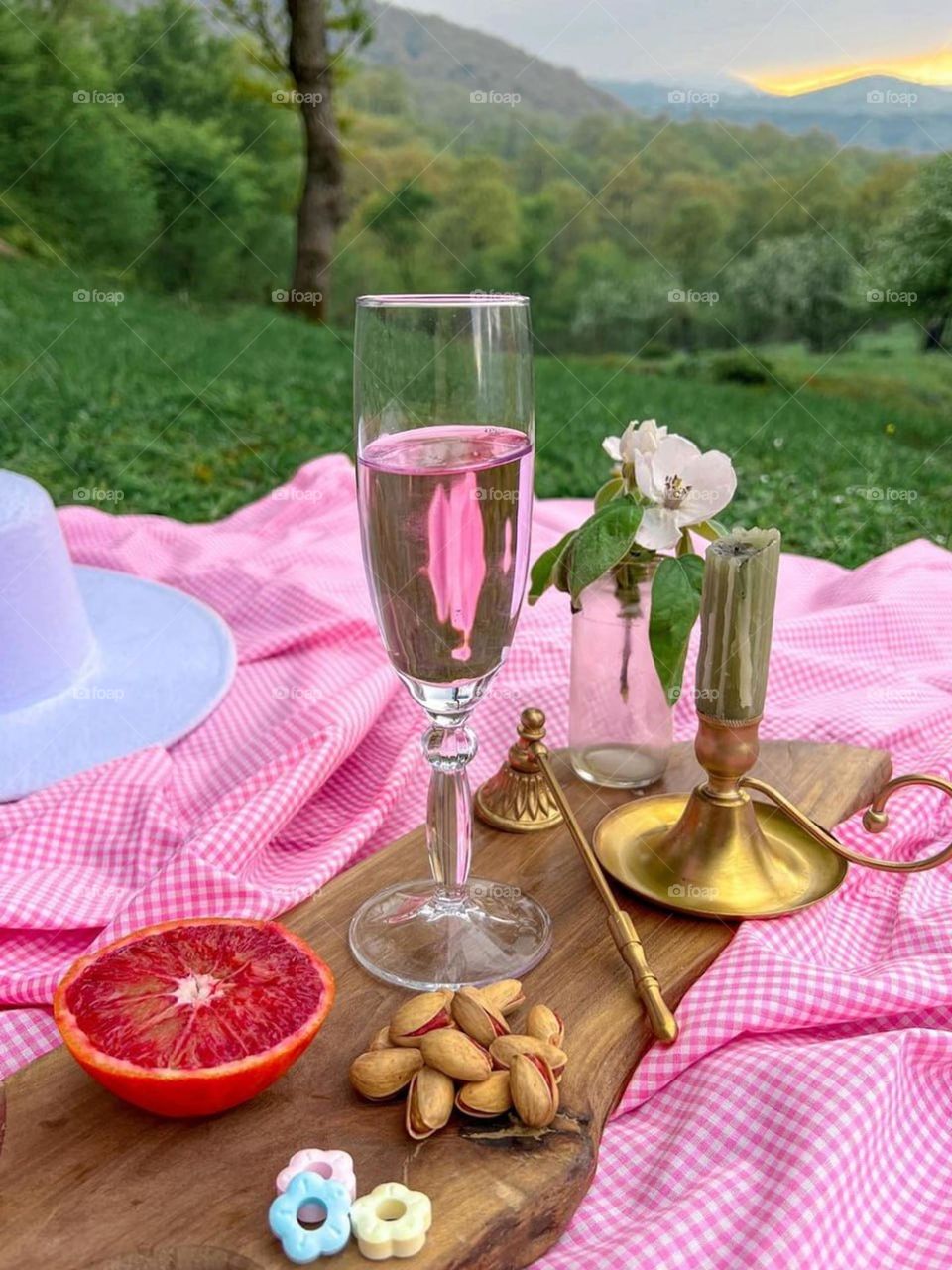 A picnic is a celebration of life