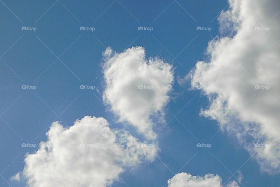 Love really is in the air