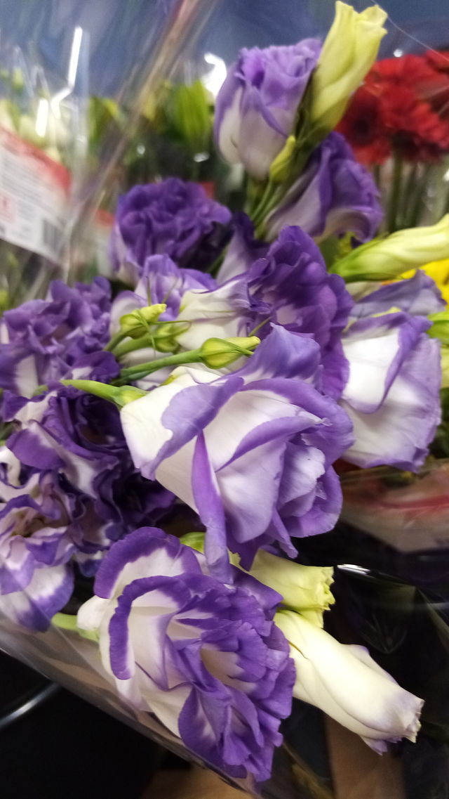 Blumen