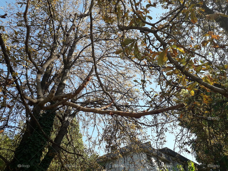 autumn is coming pt. 2