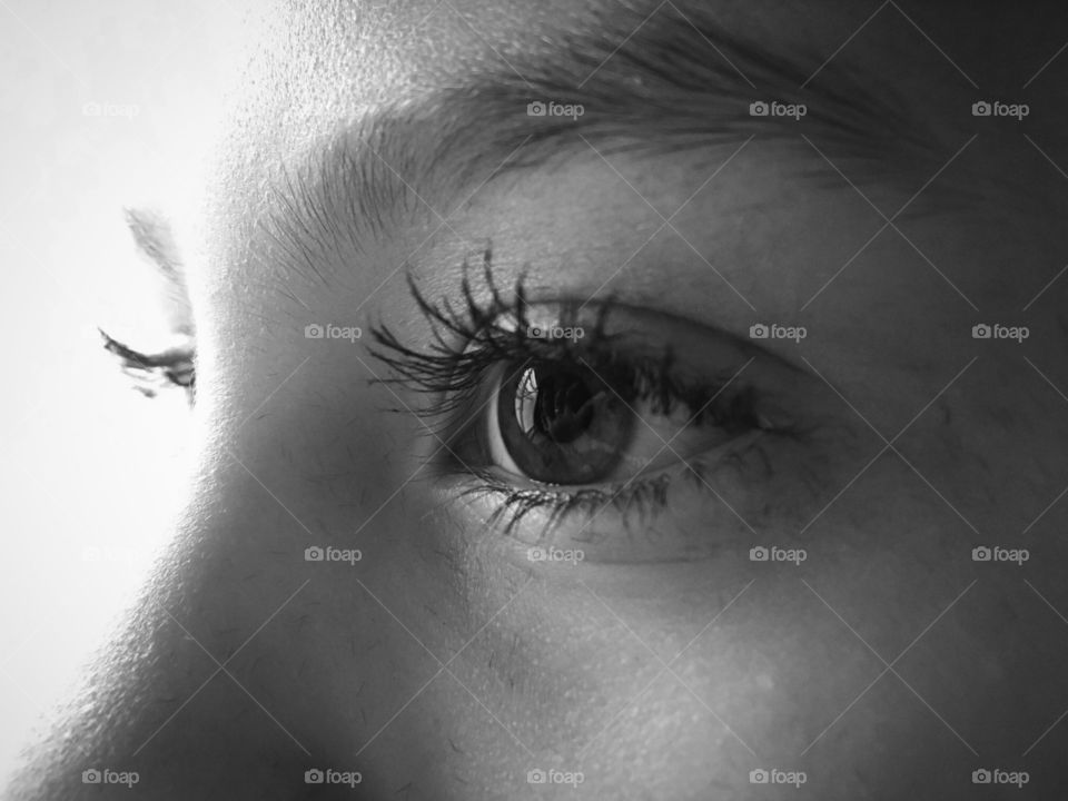 Macro shot of human eye