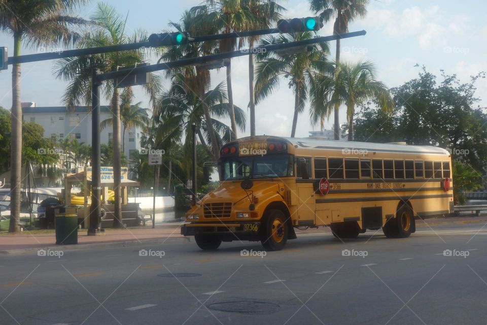 Miami Bus