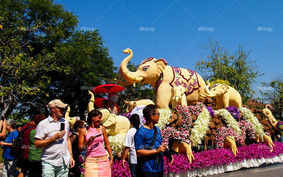 Flower festival Chiangmai