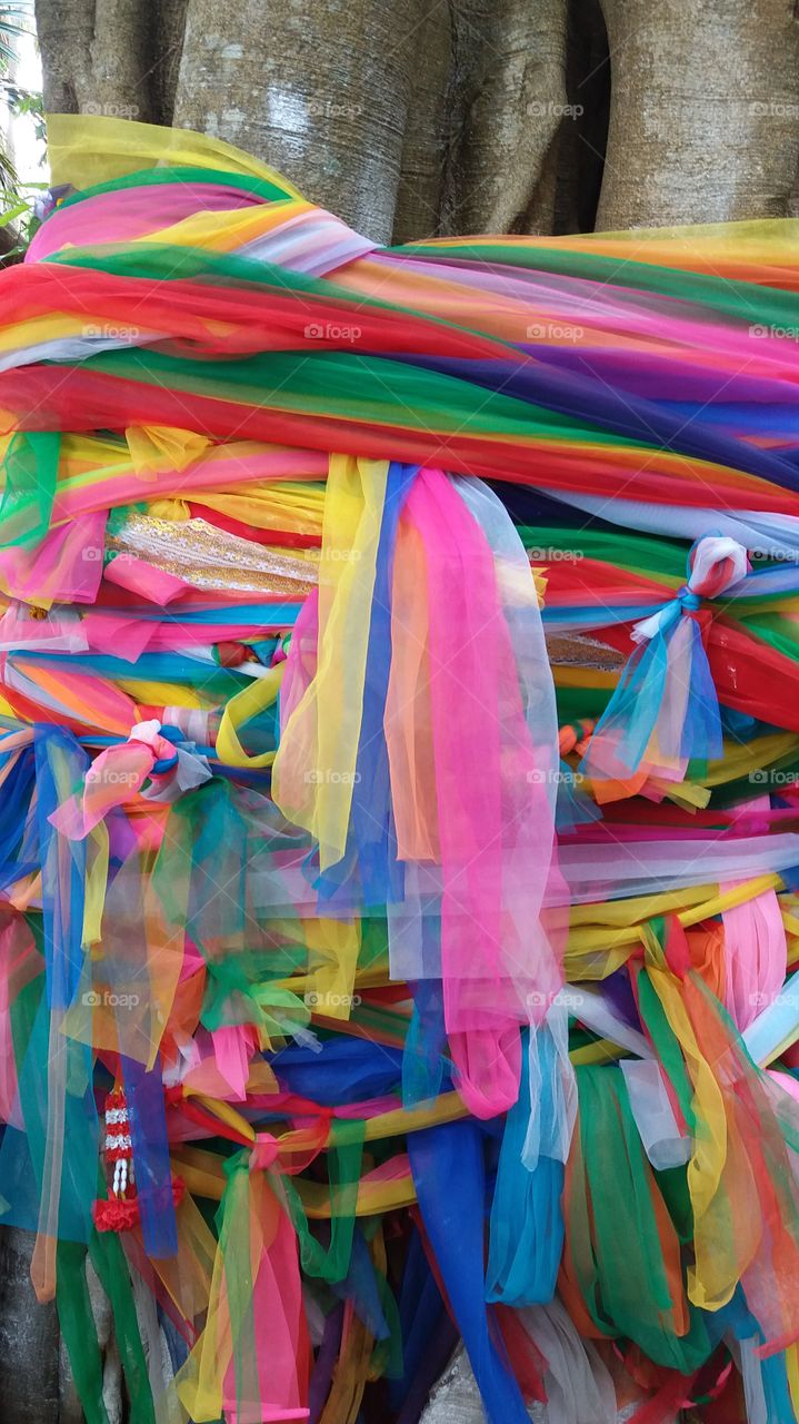 Colorful cloth tie on the tree.