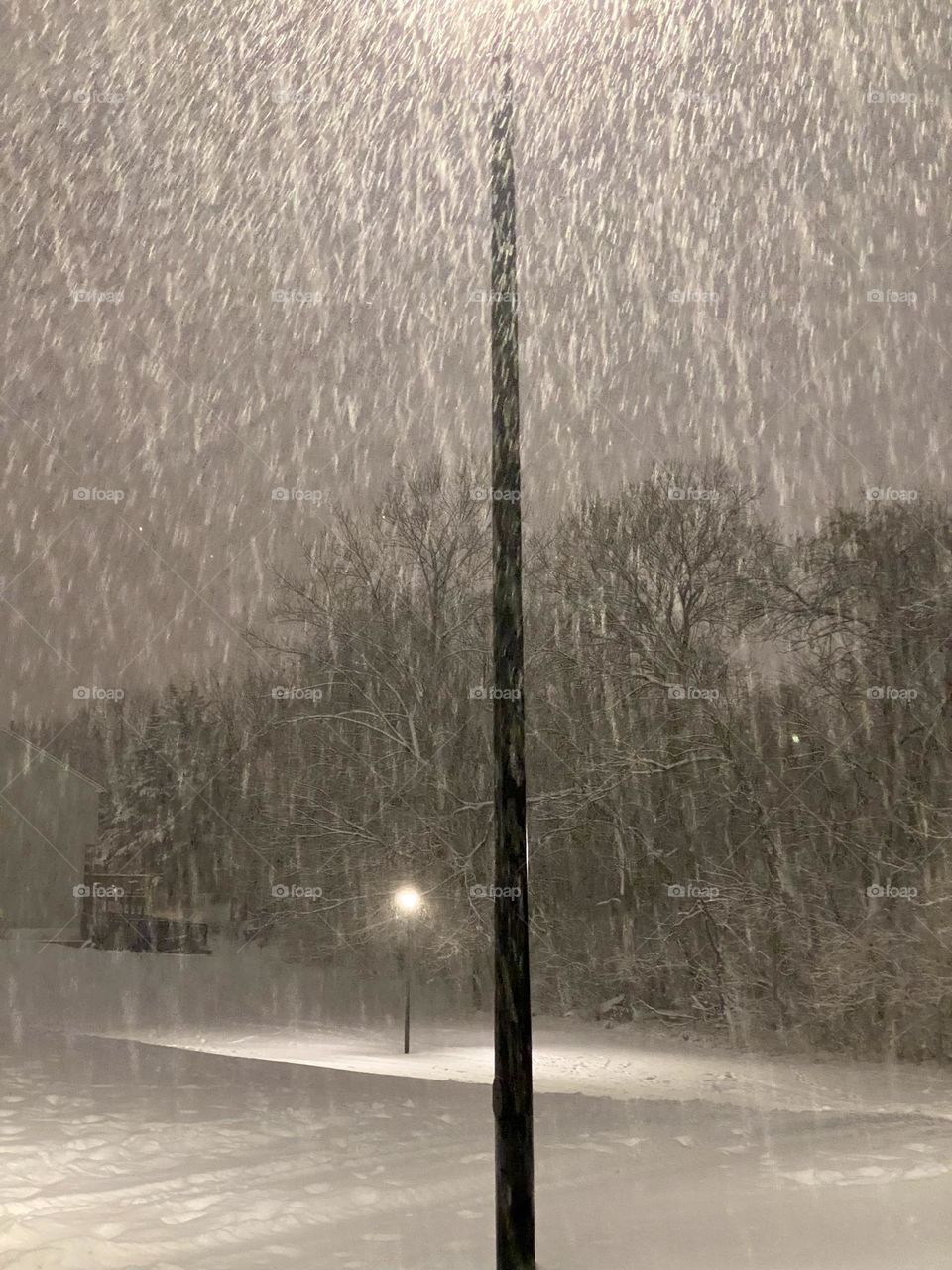 Snowflakes illuminated by street lights