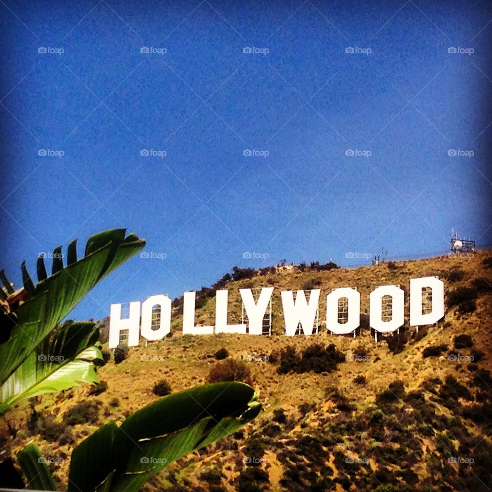 Iconic "Hollywood" sign. 