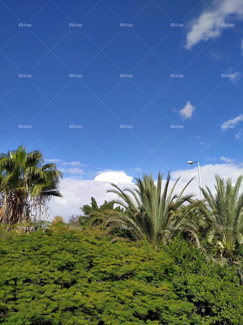 Beautiful sky this winter