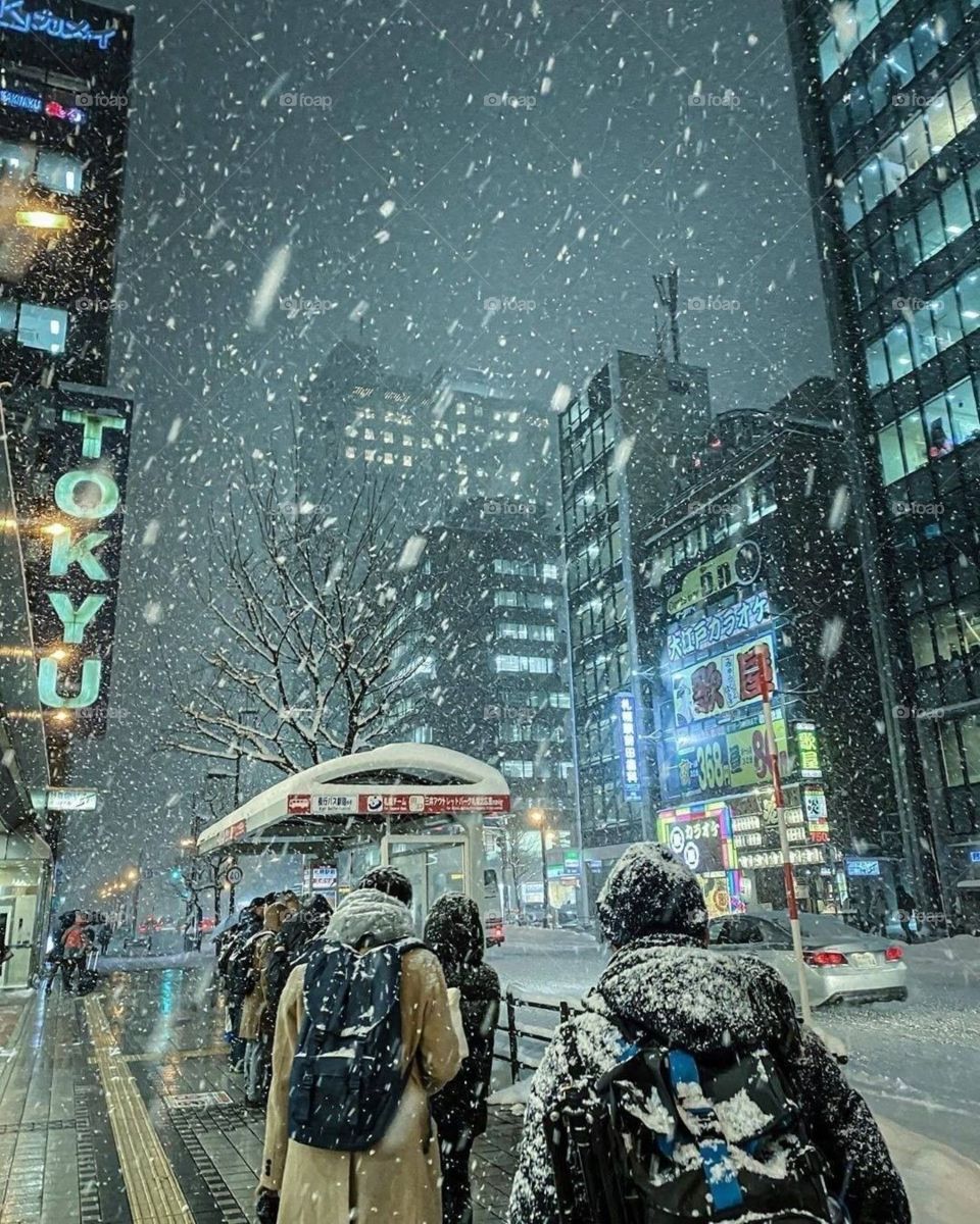 Cold snowy night in Sapporo city