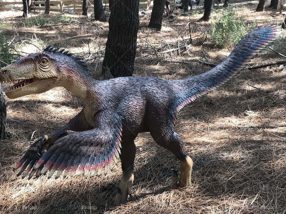 Dino parque Lourinhã 