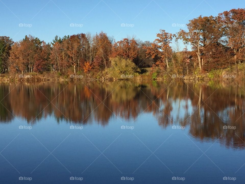 Reflections of autumn trees in lake