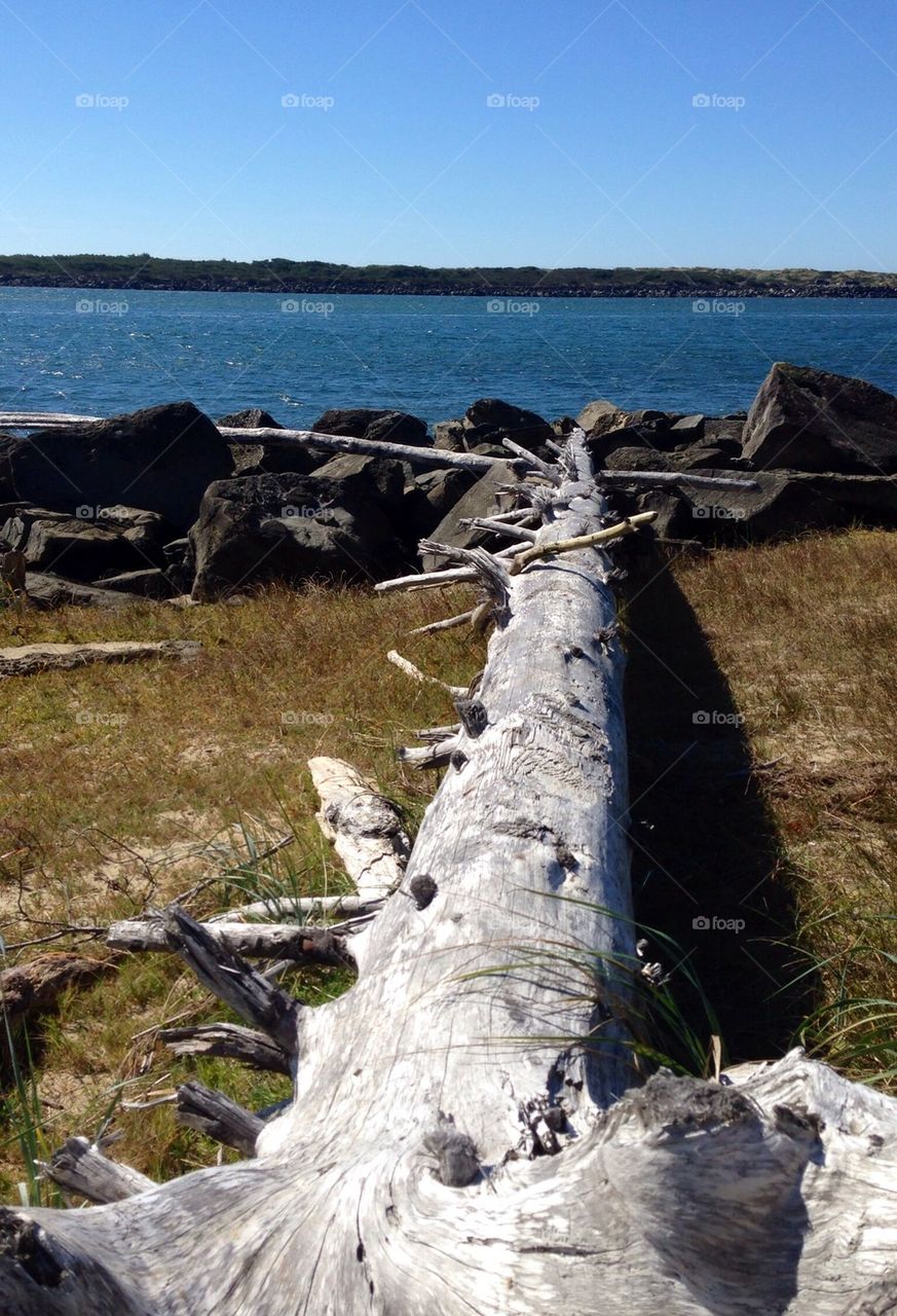 silver path to the big blue